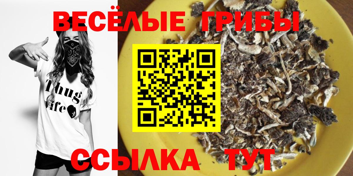 купить наркотики сайты  Вход с VPN  Оренбург  Галлюциногенные грибы GOLDEN TEACHER  Галлюциногенные грибы Psilocybine cubensis 