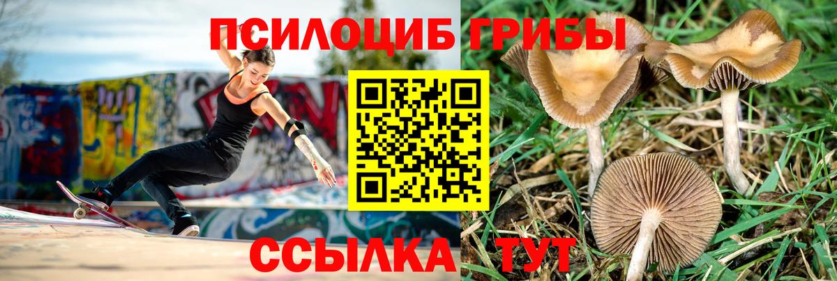 Галлюциногенные грибы Magic Shrooms Оренбург